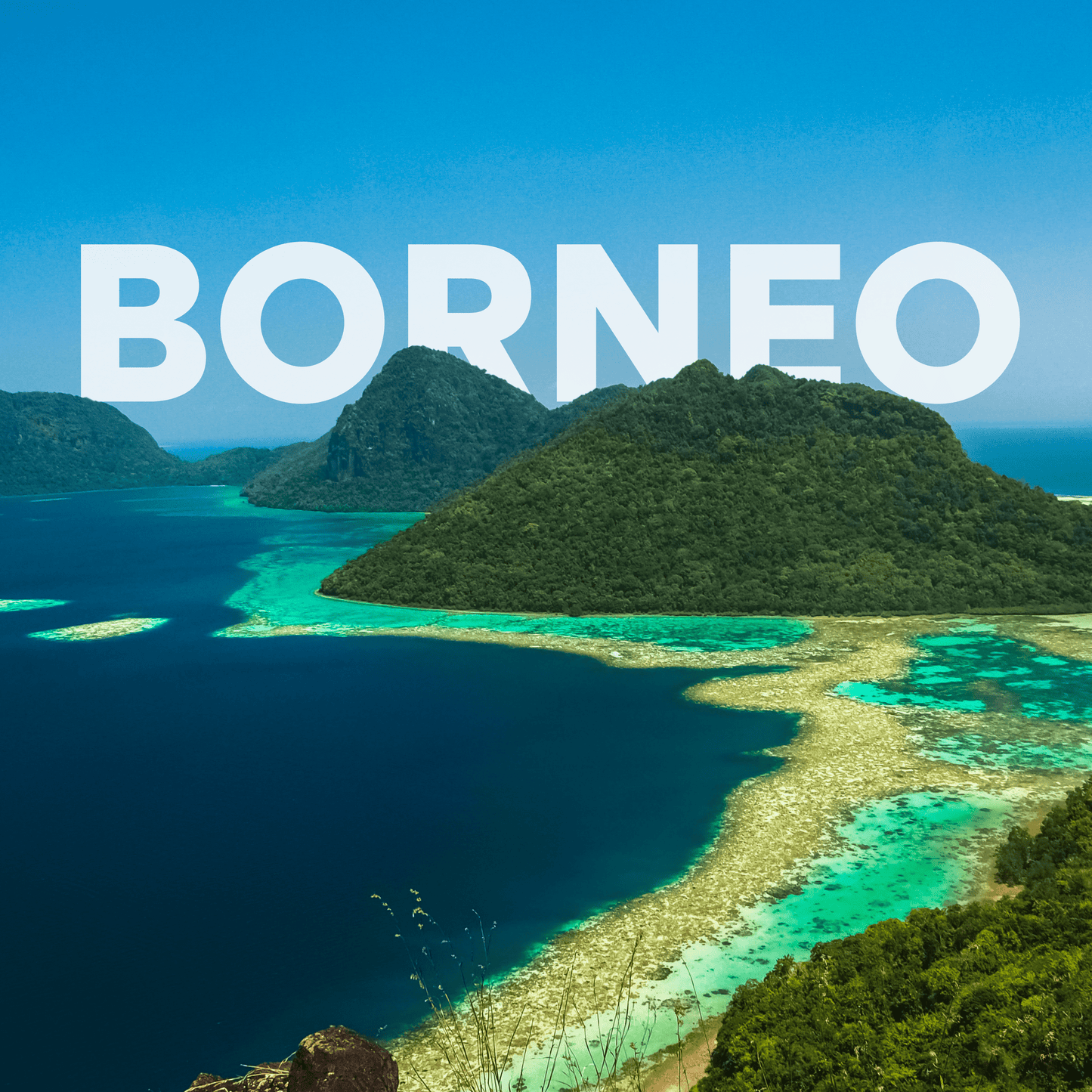 Borneo-reis | 13 dagen