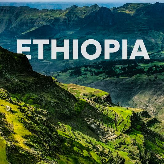 Etiopia andata e ritorno | 13 giorni