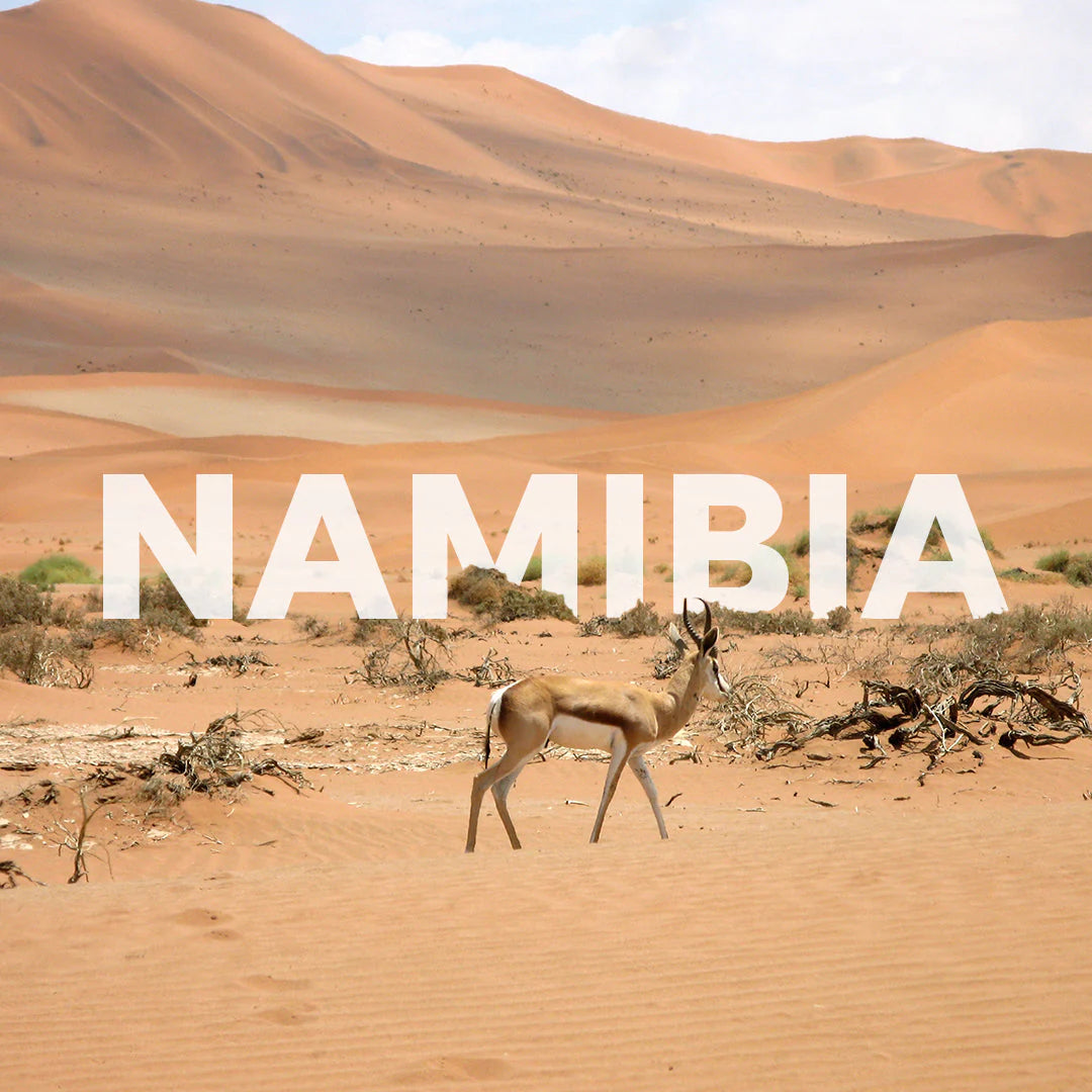 Namibia andata e ritorno con Ali | 15 giorni