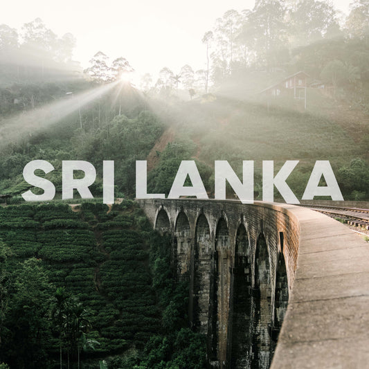 12 dagen | Sri Lanka met Ali