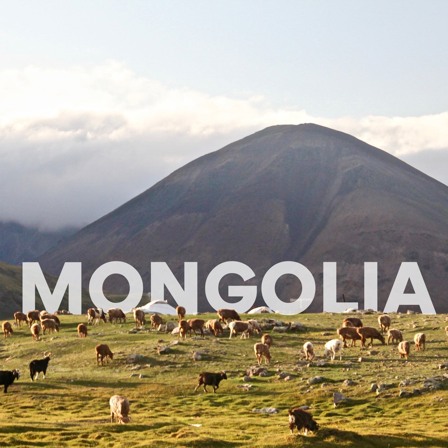 Rondreis Mongolië | 13 Dagen