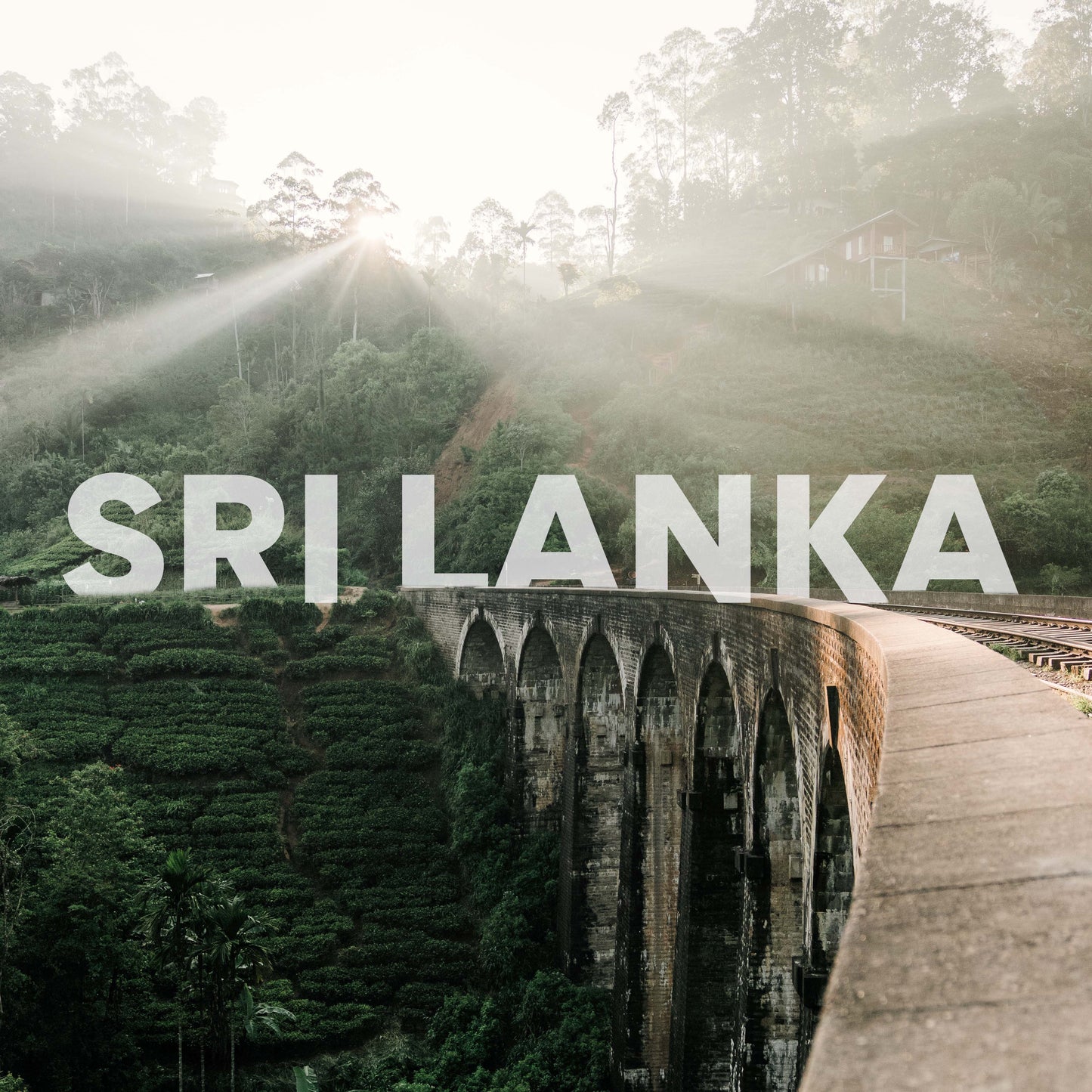 Sri Lanka Privé Rondreis | 15 dagen