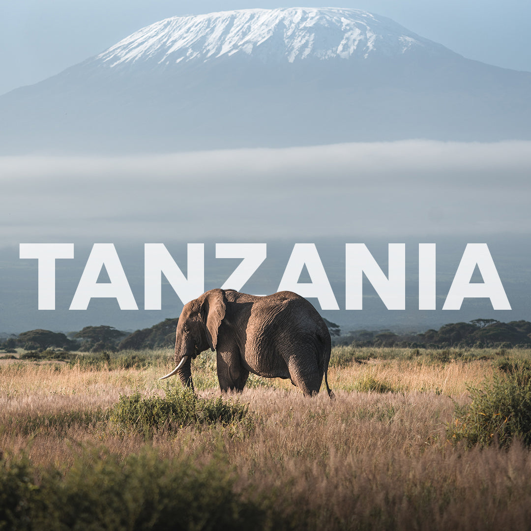 Tansania Rundreise | 13 Tage