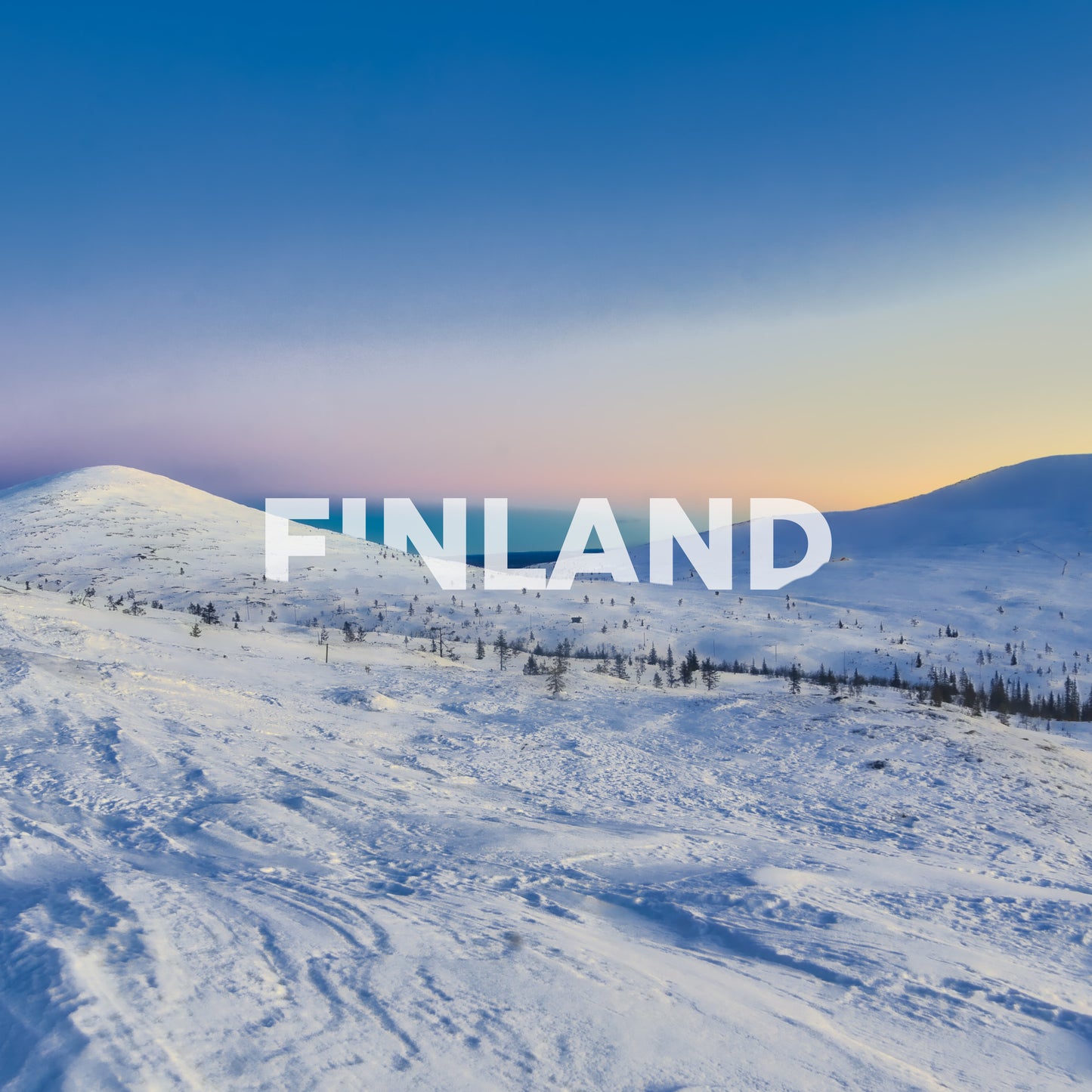 Finlandia, slitta trainata da cani e aurora boreale | 8 giorni