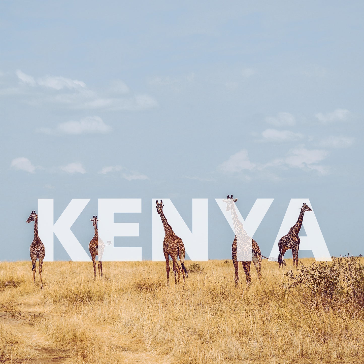 Kenya Round Trip | 11 days